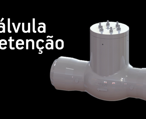 VÁLVULA RETENÇÃO PORTINHOLA PRESSURE SEAL